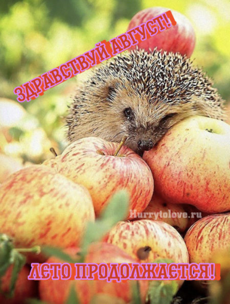 Пожелание с началом августа