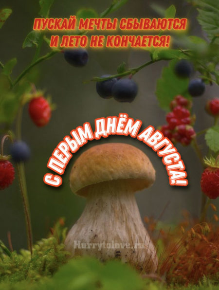 Картинки Лето Август С Надписью