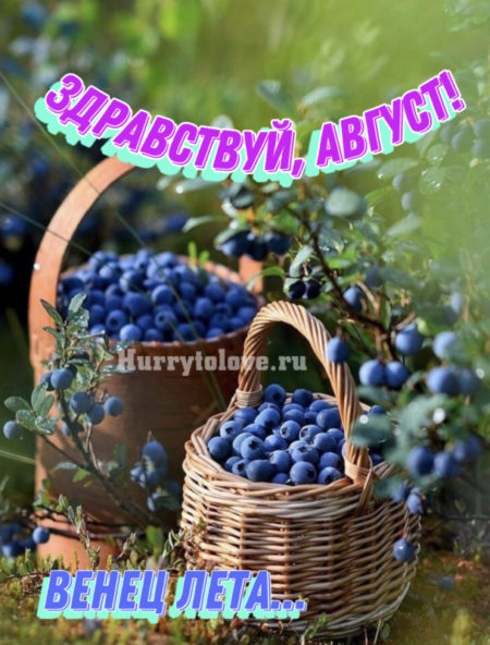 Открытки с первым днем августа