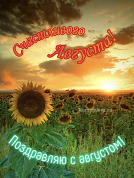 С 1 августа поздравляю