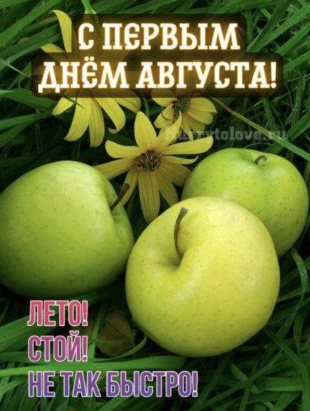 Красивая картинка счастливого августа.