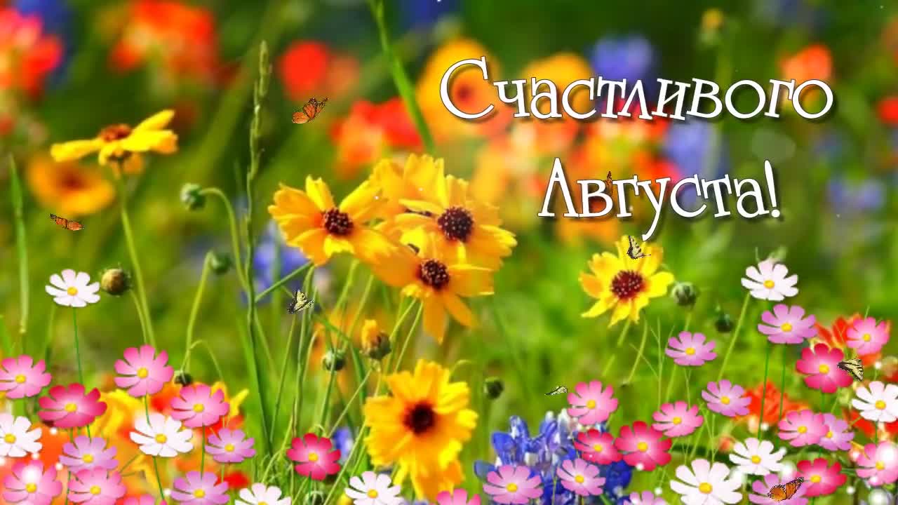 Открытки с последним месяцем лета