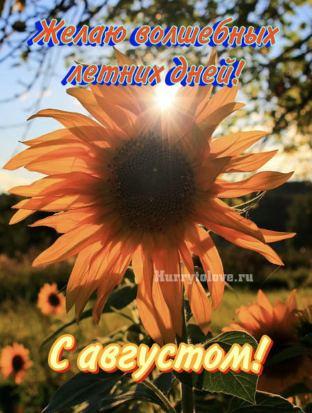 Картинки С Августом Первый День