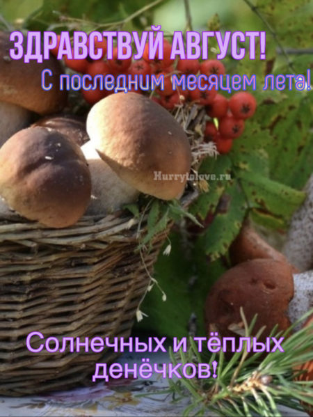 Прикольные картинки на 1 августа.