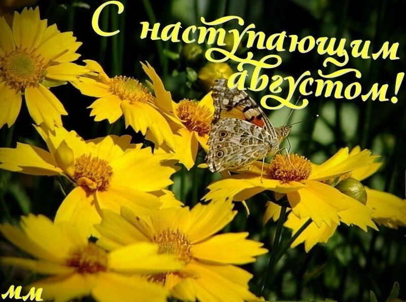 Август последний месяц лета