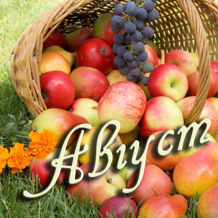 Картинки С Августом Первый День.