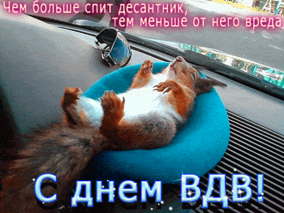 Угарная гифка, gif картинка на день ВДВ с белкой и юмором.