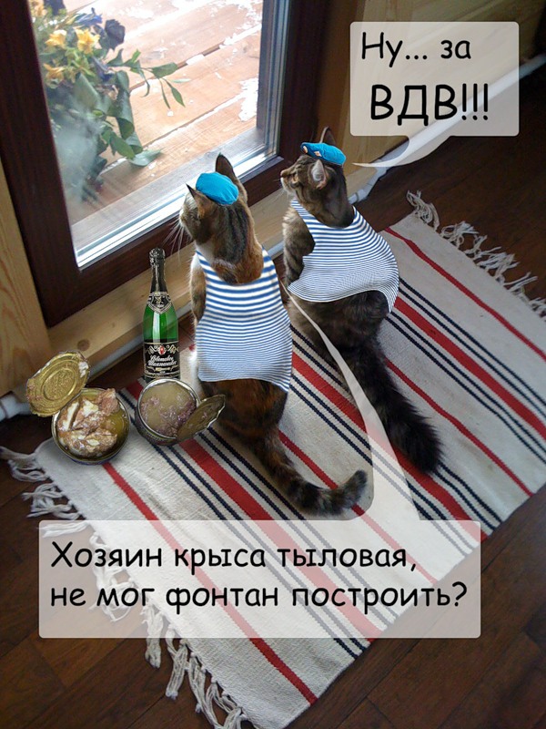 Прикольные картинки с дембелем - фото. Прикольные картинки с дембелем - фото.