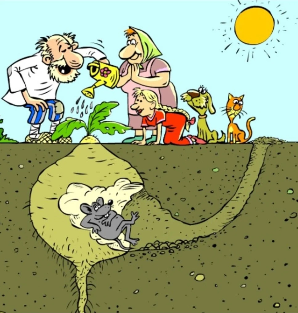 Хостинг картинок yapx.ru