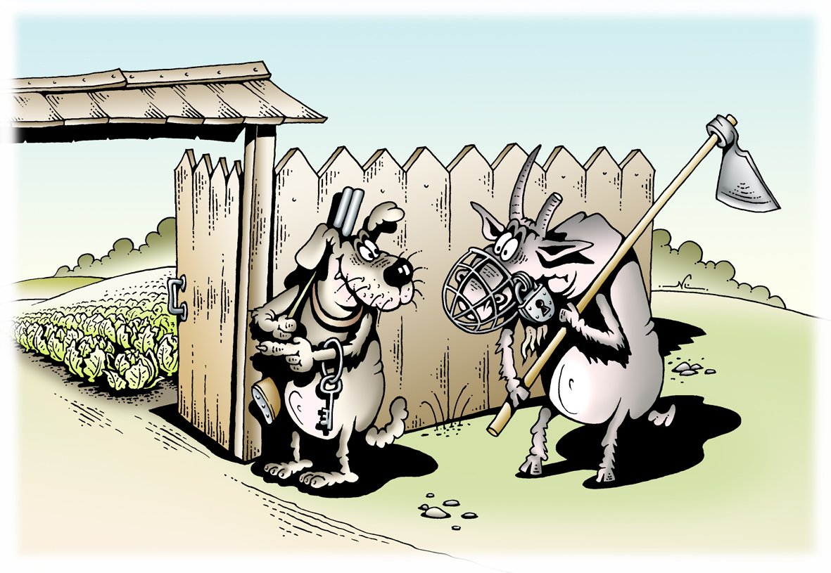 Хостинг картинок yapx.ru