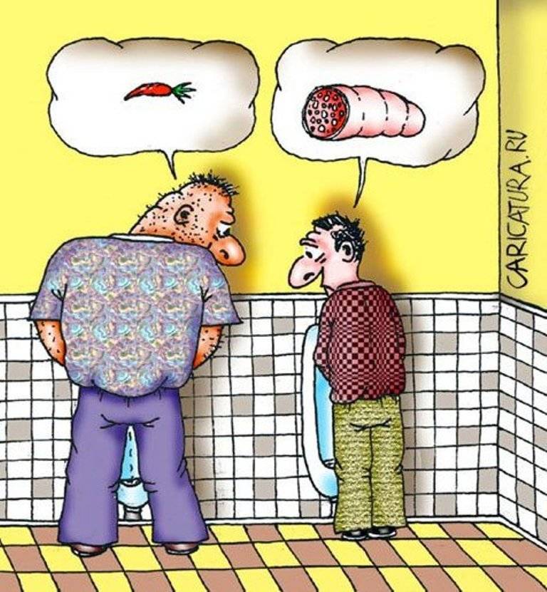 Хостинг картинок yapx.ru