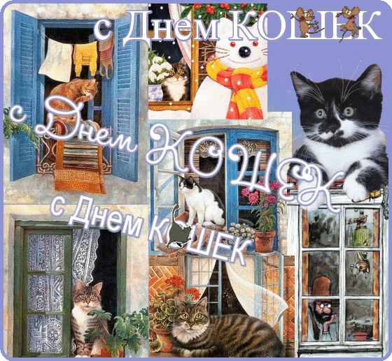 Всемирный день кошек 8 августа, Всемирный день кошек поздравления.