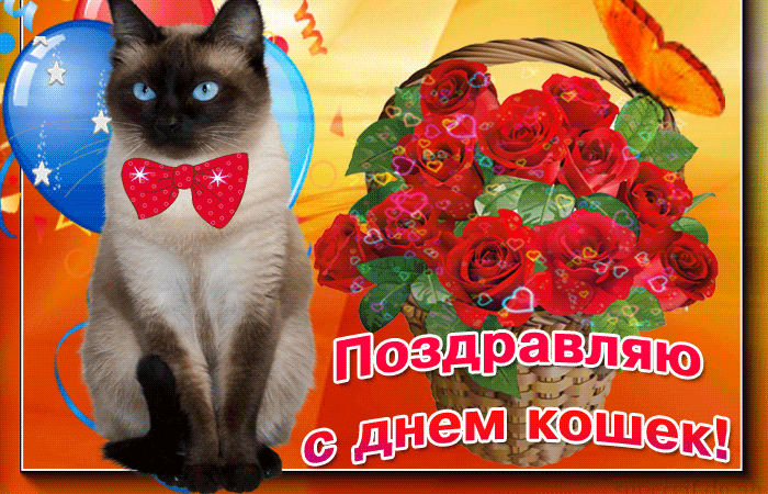 Gif картинка Вот тебе корзина с розами в день кошек.