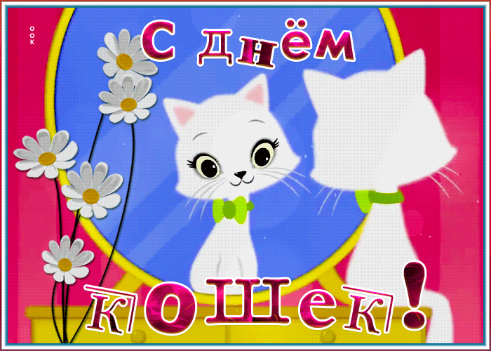 Красивая открытка Всемирный день кошек