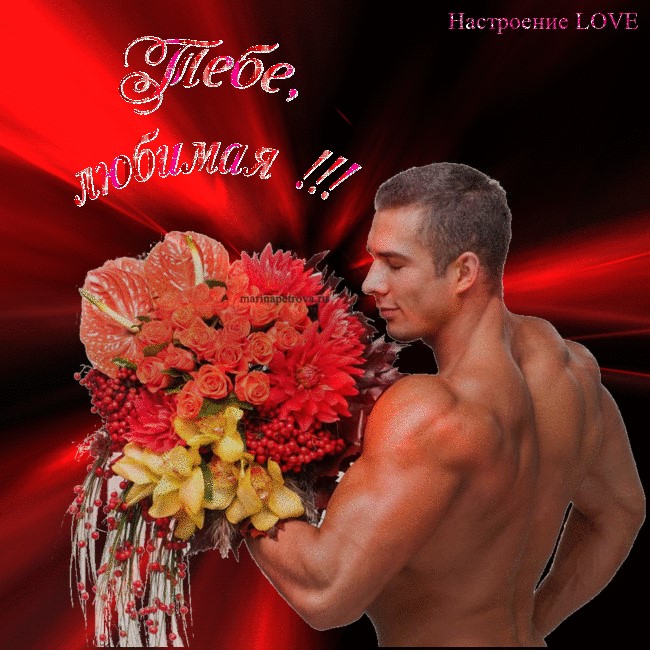 Хостинг картинок yapx.ru