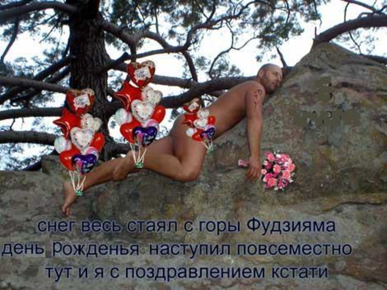 Хостинг картинок yapx.ru