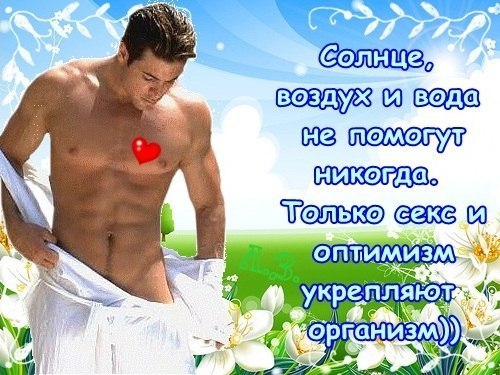 Хостинг картинок yapx.ru