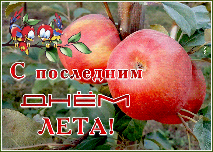 Вот и лето прошло, с последним летним деньком - красивые картинки. 