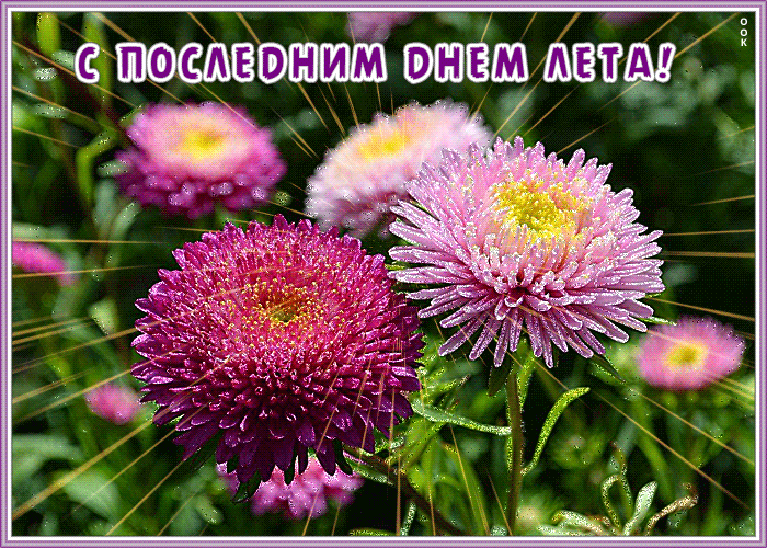 Поздравление с последним днем лета. 