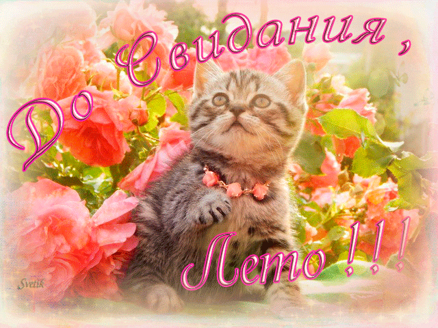 На этой странице размещены самые эффектные Гифки с последним днём лета которые несомненно поднимут настроение.