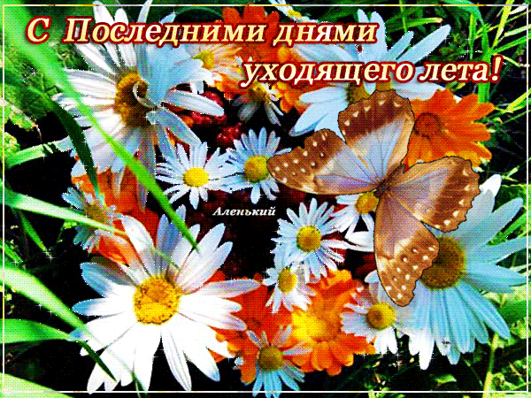 Анимация - Последняя частичка лета!