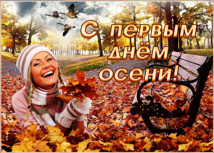 Милая Открытка красивой осени Милая Открытка красивой осени