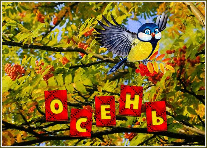 Картинка с первым днем осени Картинка с первым днем осени