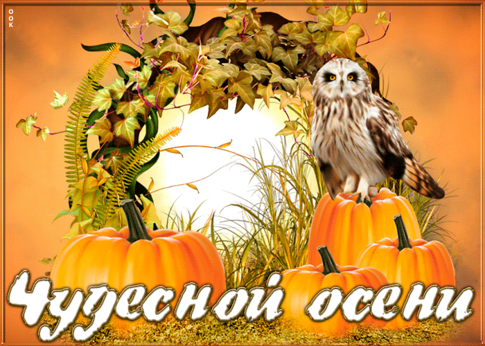 Картинка осень наступила Картинка осень наступила