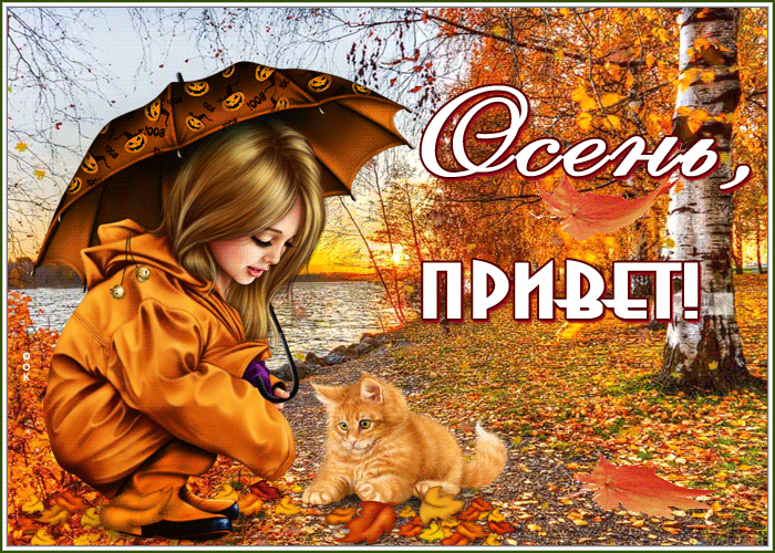 Оригинальная Картинка Чудесной осени Оригинальная Картинка Чудесной осени