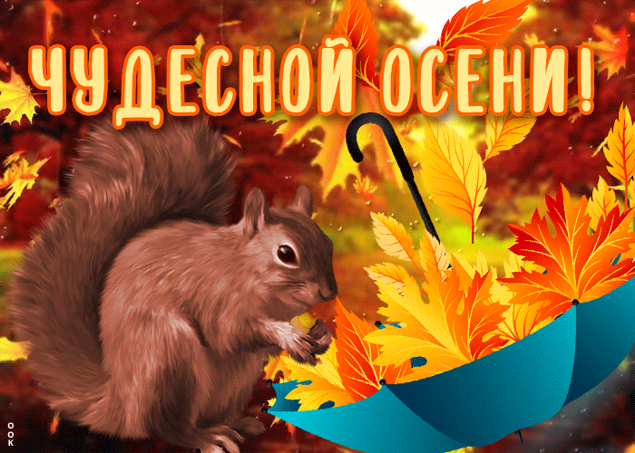 Анимация красивой осени Анимация красивой осени