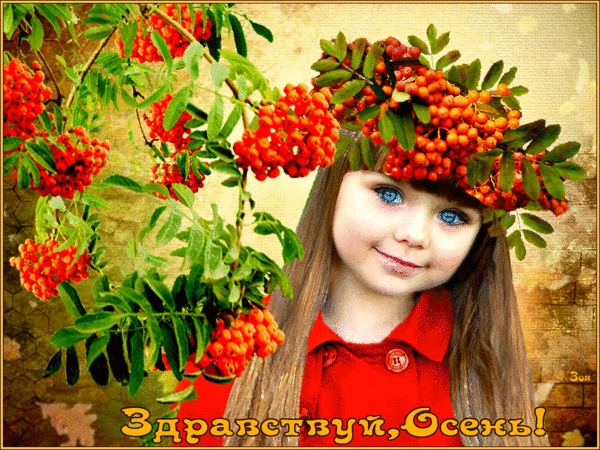 На этой странице размещены самые эффектные Прикольные гифки с первым днём Осени которые несомненно поднимут настроение. На этой странице размещены самые эффектные Прикольные гифки с первым днём Осени которые несомненно поднимут настроение.