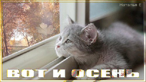 С первым днем осени — красивые картинки. С первым днем осени — красивые картинки.