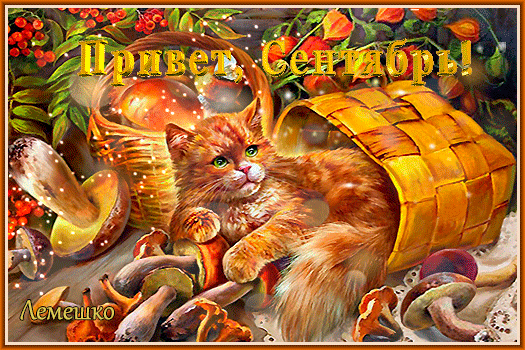 Первый День Осени Поздравления Картинки (50 фотографий). Первый День Осени Поздравления Картинки (50 фотографий).