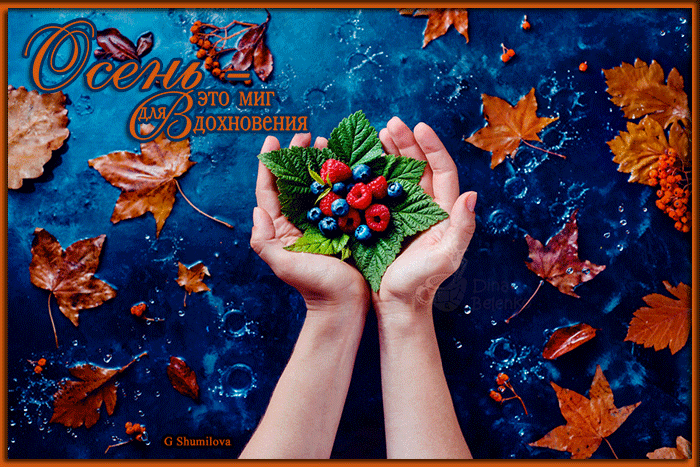 1 сентября Первый день осени. 1 сентября Первый день осени.