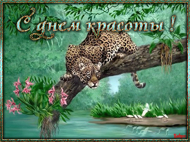 Поздравление в прекрасный праздник красоты. Картинка красивое поздравление в день красоты. Поздравление в прекрасный праздник красоты. Картинка красивое поздравление в день красоты.