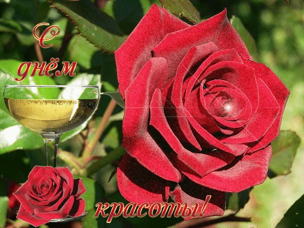 Сегодня празднуем всемирный день красоты Сегодня празднуем всемирный день красоты