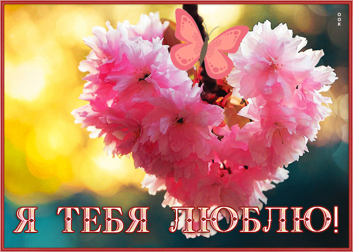 Чарующая открытка с цветочным сердцем Я тебя люблю Чарующая открытка с цветочным сердцем Я тебя люблю