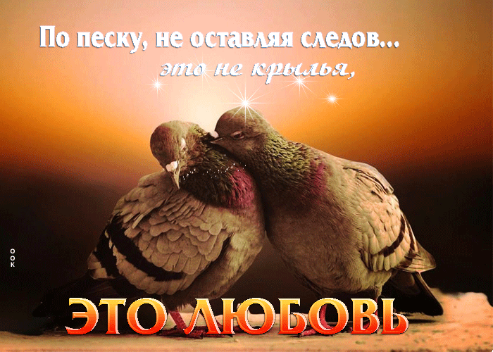 Гифка По песку, не оставляя следов, Это не крылья, это любовь. Гифка По песку, не оставляя следов, Это не крылья, это любовь.