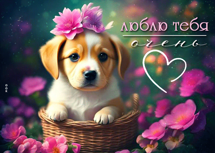 Непревзойденная открытка с милым щенком Люблю тебя очень Непревзойденная открытка с милым щенком Люблю тебя очень