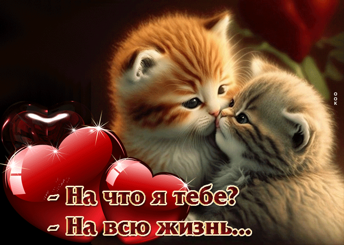 Оригинальная гиф-открытка На что я тебе? На всю жизнь! Оригинальная гиф-открытка На что я тебе? На всю жизнь!