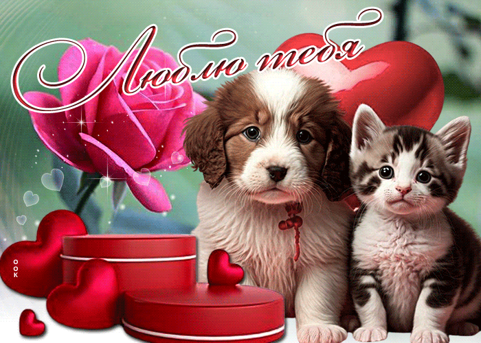 Гифка Теплая и сердечная открытка Люблю тебя. Гифка Теплая и сердечная открытка Люблю тебя.