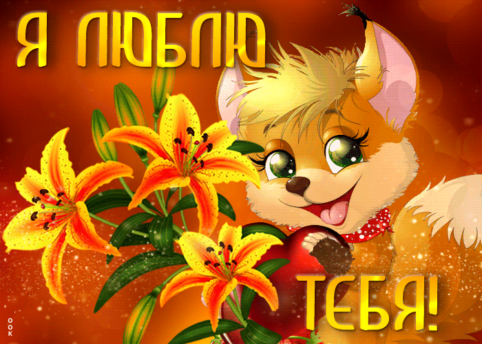 Я тебя люблю картинки и открытки про любовь (топ 100). Я тебя люблю картинки и открытки про любовь (топ 100).