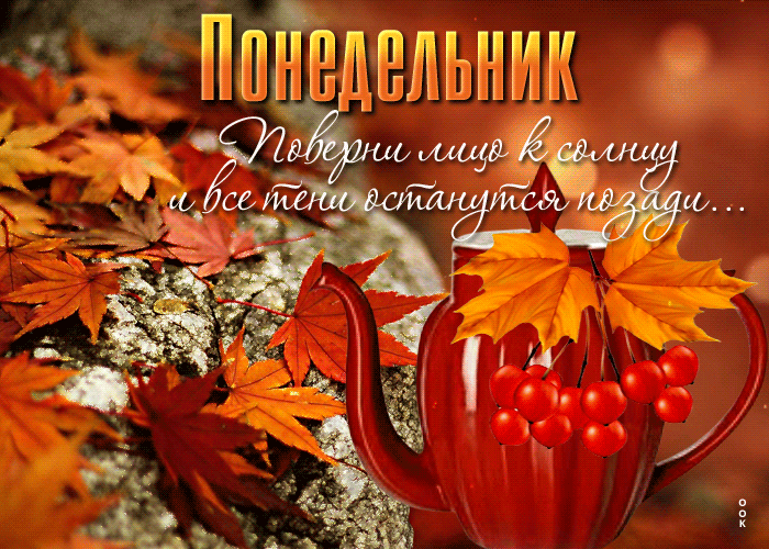 Gif картинка Понедельник, Поверни лицо к солнцу и все тени останутся позади. Gif картинка Понедельник, Поверни лицо к солнцу и все тени останутся позади.