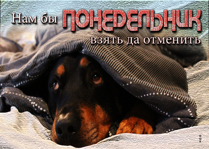 Шутливая открытка Нам бы понедельник взять да отменить Шутливая открытка Нам бы понедельник взять да отменить