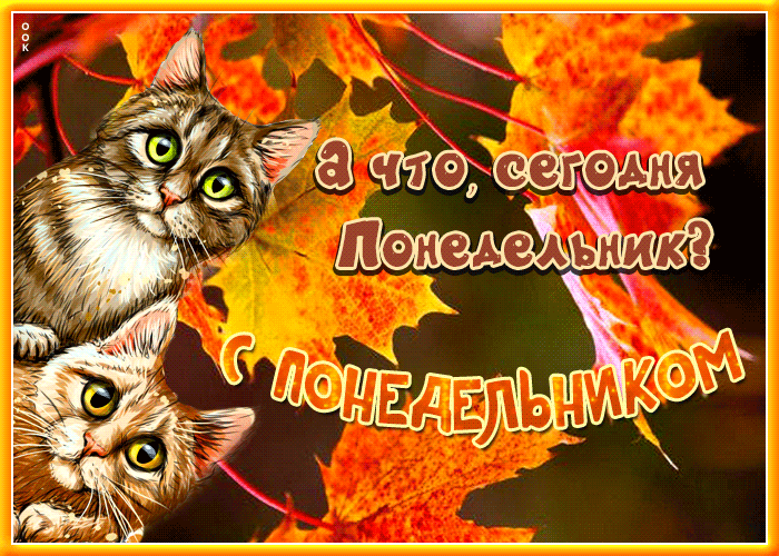 Смешная гифка Поразительная открытка с котиками А что, сегодня понедельник? Смешная гифка Поразительная открытка с котиками А что, сегодня понедельник?