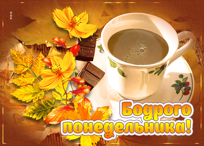Удивительная открытка Бодрого понедельника! Удивительная открытка Бодрого понедельника!