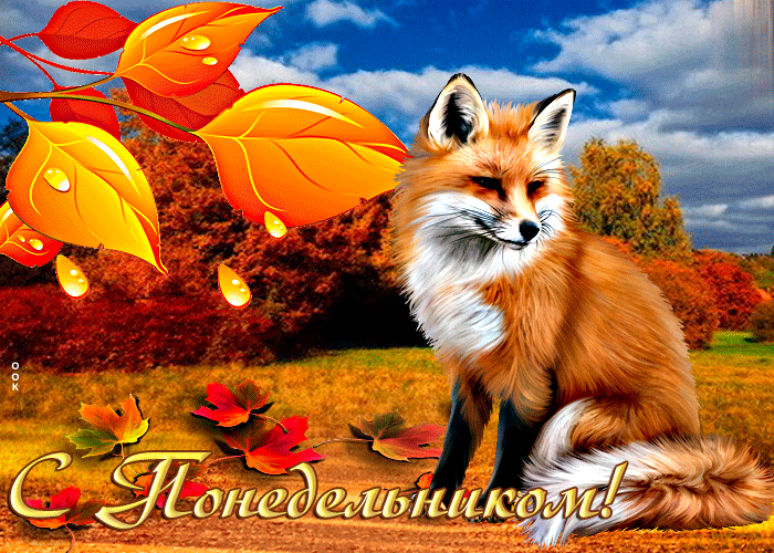 Шикарная осенняя гифка с лисой на природе С понедельником! Шикарная осенняя гифка с лисой на природе С понедельником!