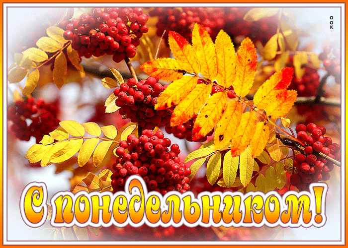 Эффектная осеняя открытка с рябиной С понедельником! Эффектная осеняя открытка с рябиной С понедельником!