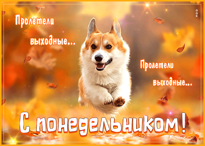 Забавная открытка Пролетели выходные... С понедельником! Забавная открытка Пролетели выходные... С понедельником!