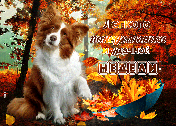 Красивая осеняя gif картинка лёгкого понедельника и удачной недели. Красивая осеняя gif картинка лёгкого понедельника и удачной недели.